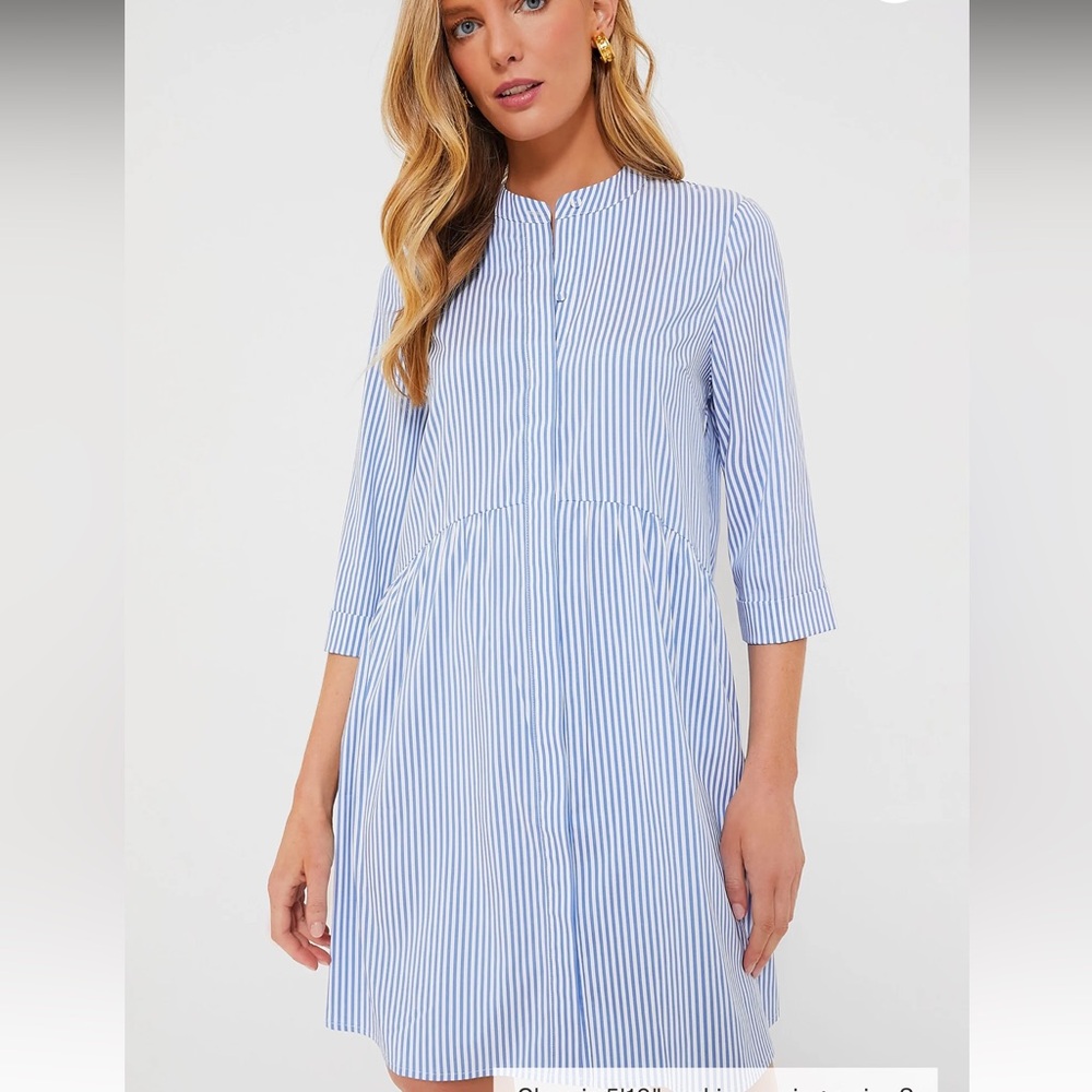 Tuckernuck Blue Stripe Royal Shirtdress